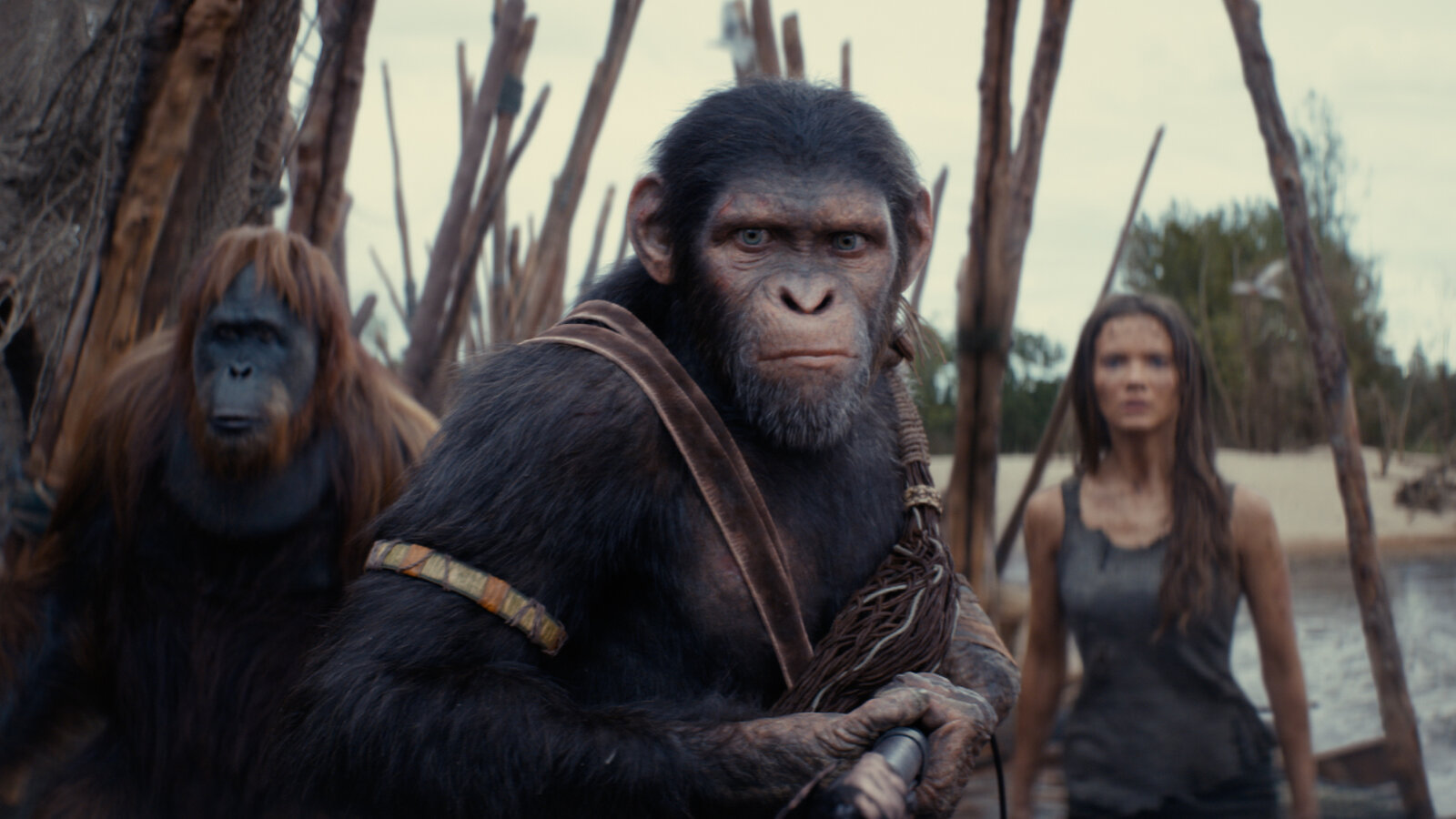 KINGDOM OF THE PLANET OF THE APES - PART 1